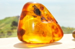 Bernstein Gold der Ostsee