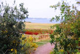 Weg an der Steilküste
